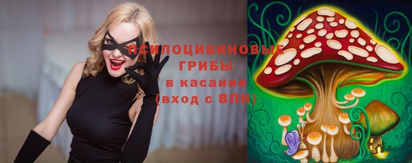 бошки Белокуриха
