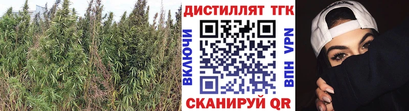 ТГК THC oil  Балашов 