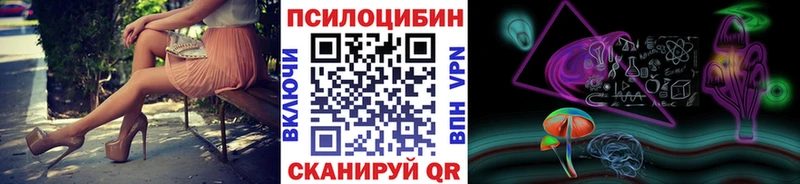 mega ссылка  Балашов  Галлюциногенные грибы Cubensis 